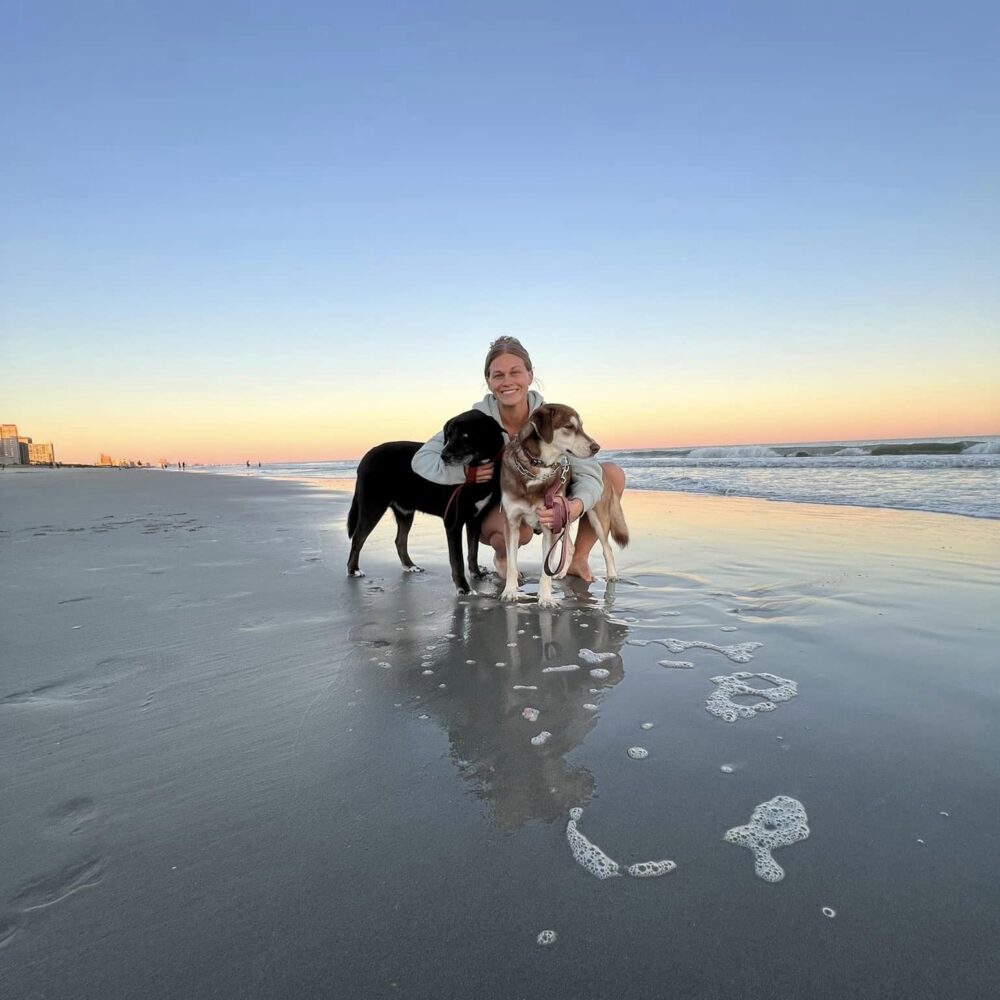 bailey beach pups image
