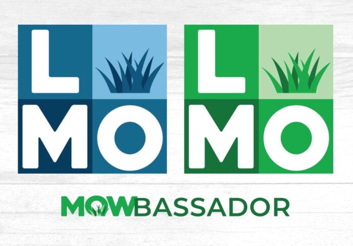 logo design lmo
